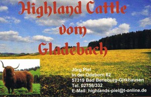 highland-cattle (1 von 1)